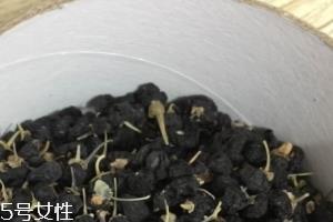 黑枸杞能和红枸杞一起泡吗? 黑枸杞能和红枸杞一起泡吗?