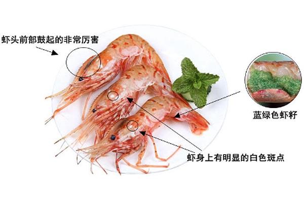 牡丹虾产自哪里 主要来自于2个产区 牡丹虾产自哪里 主要来自于2个产区