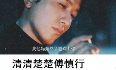 ​傅慎行是谁《掌中之物》讲述了什么