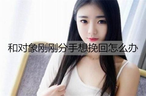 和对象刚刚分手想挽回怎么办3