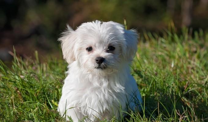 6fa231475d6610b1013d7b781ca94e14.jpg 未命名.jpg