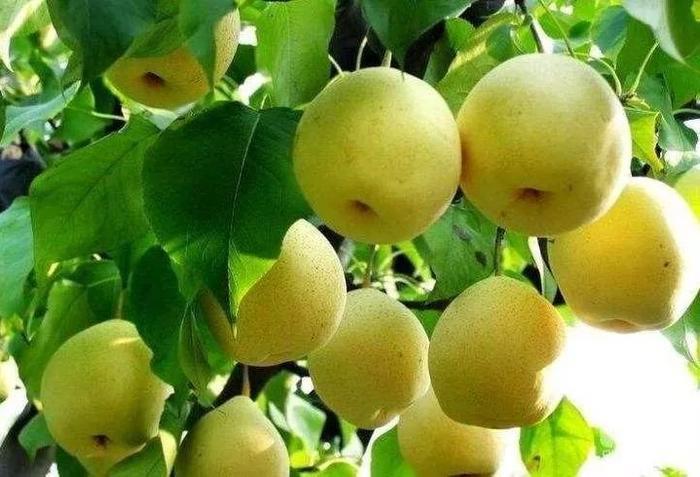 “凭什么你能省一大笔钱?”“凭我是工会会员!”