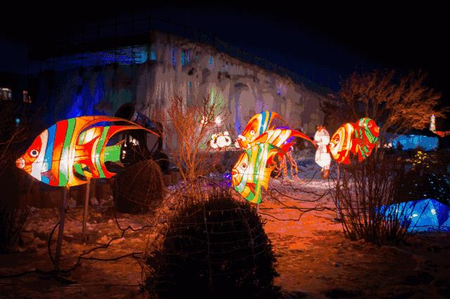 赤峰城区春节没什么好玩的？那是你不知道这里，快要被人挤爆了