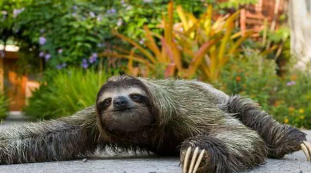 连科学家都解释不了的“水猴子”,究竟是什么东西涨知识了