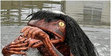 连科学家都解释不了的“水猴子”,究竟是什么东西涨知识了