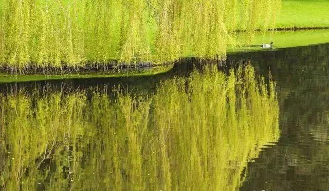 相比于其它国家，我国的环保风暴为何异常凶猛？