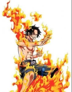 ​海贼王中，为什么会出现两个热热果实？说出来你都不一定会相信