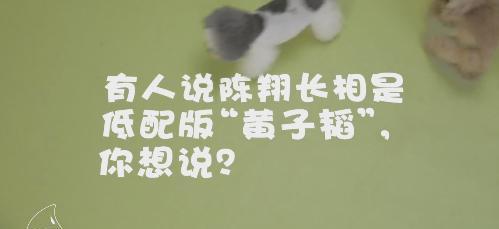 陈翔长相是低配版黄子韬？看看陈翔是怎样巧妙应对！