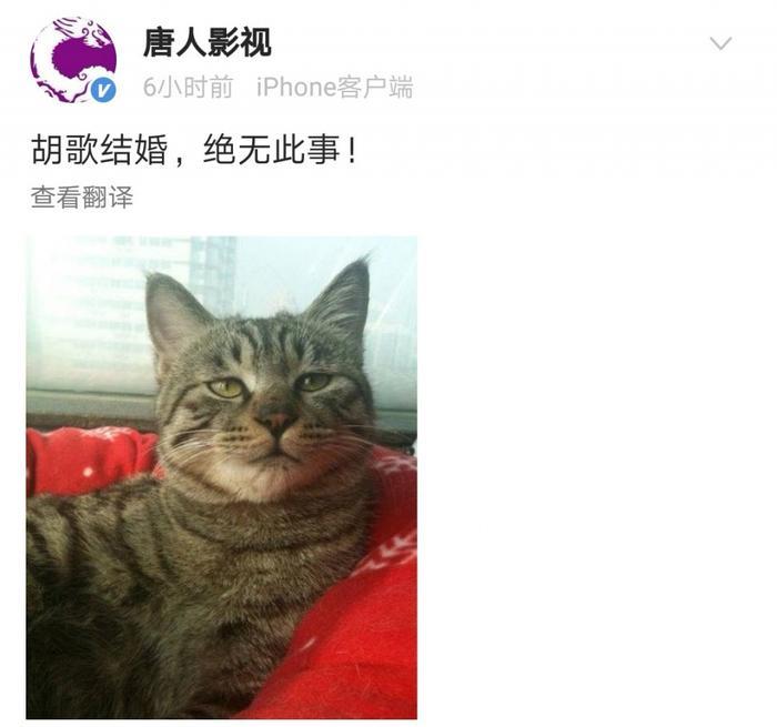 胡歌方否认与小13岁女演员结婚：假得离谱