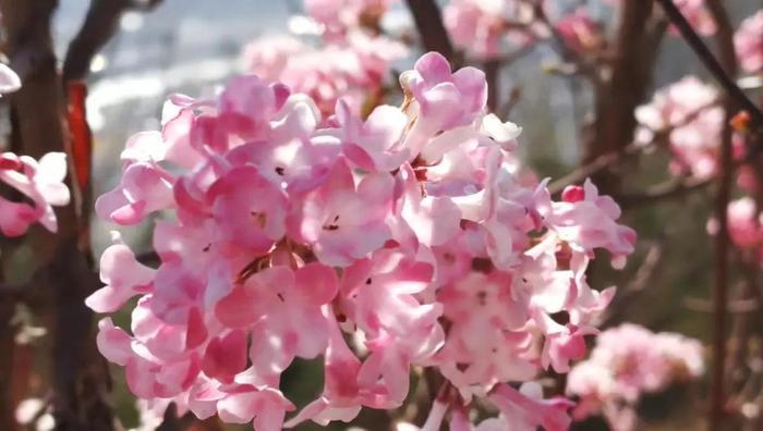 节省是我们民族的传统美德，但有人却没有正确理解“节省”的意义