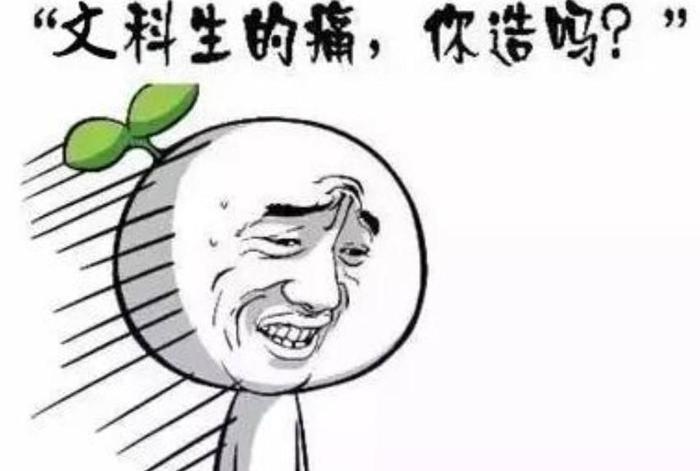 文科生有什么强大之处吗? 说出来你可能都不敢相信