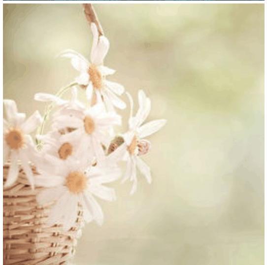 好看的皮囊千篇一律, 有趣的灵魂万里挑一。你属于哪一种?