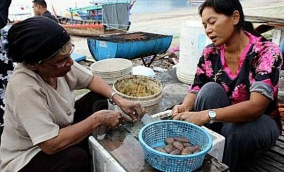 海滩上漂浮大量不明生物，村民们看到后竟纷纷上前哄抢