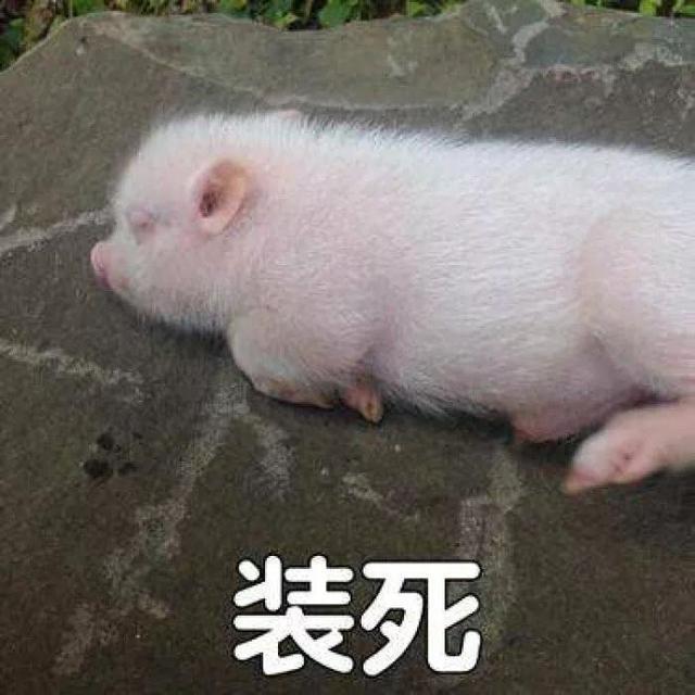 这两天好多人都在微信里发语音红包，这些奇葩的口令真吓人