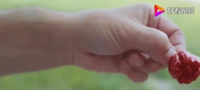 舌尖上的龙息辣椒，作死老外质疑，结果咬下瞬间后悔了