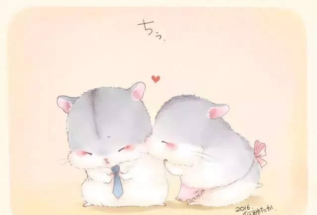 无字萌萌哒仓鼠表情包