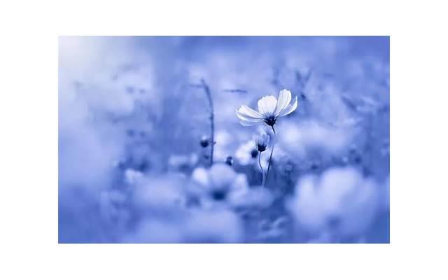 男人删除一个女人的微信意味着什么 男人删除一个女人的微信意味着什么