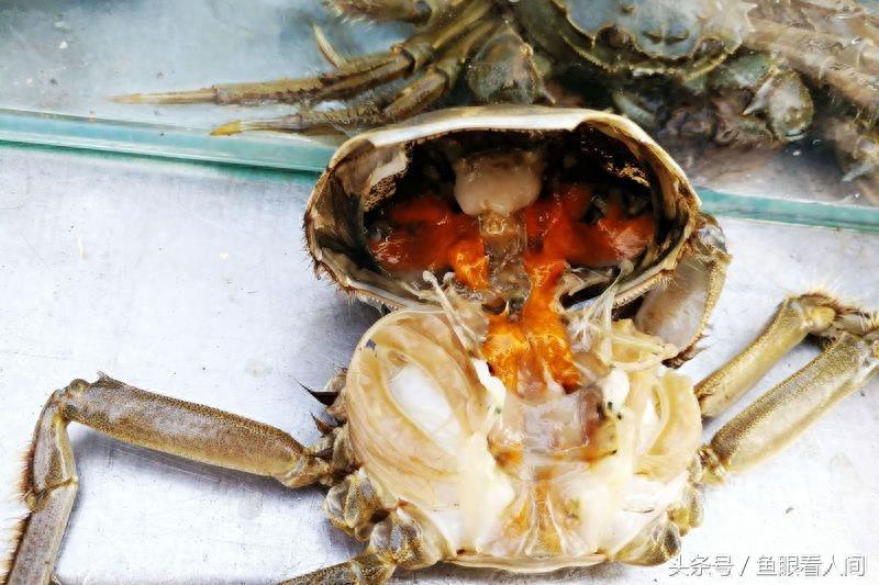 淡水毛蟹进入海鲜市场 价格根据个头20-60不等 满满的蟹黄