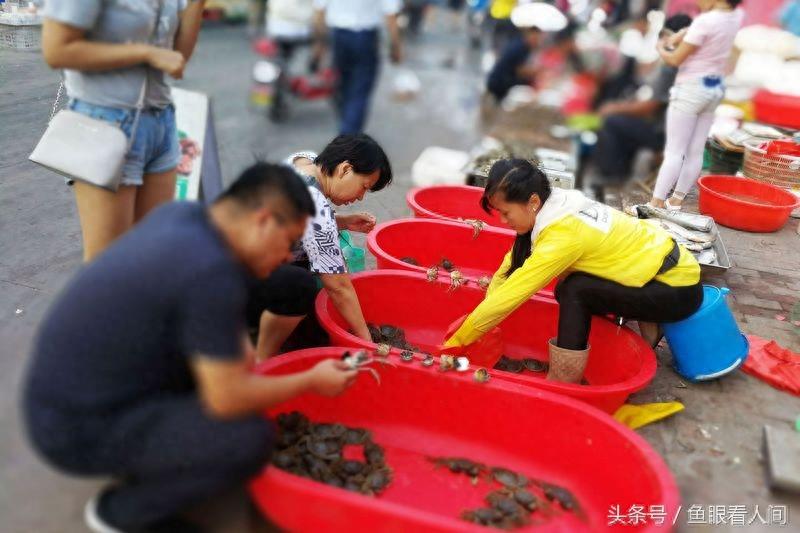 淡水毛蟹进入海鲜市场 价格根据个头20-60不等 满满的蟹黄