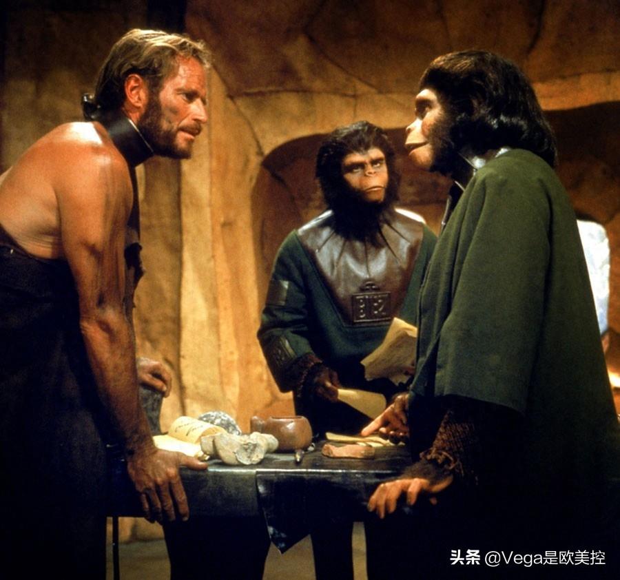 盘点:和大猩猩有关的15部电影,你看过几部?