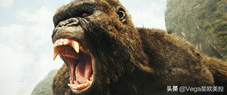 盘点:和大猩猩有关的15部电影,你看过几部?