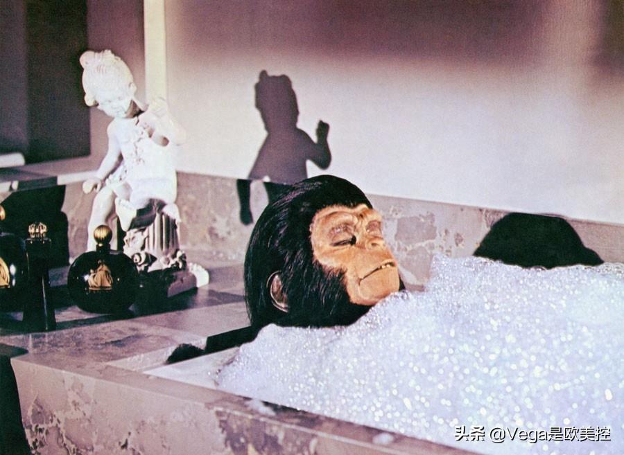 盘点:和大猩猩有关的15部电影,你看过几部?