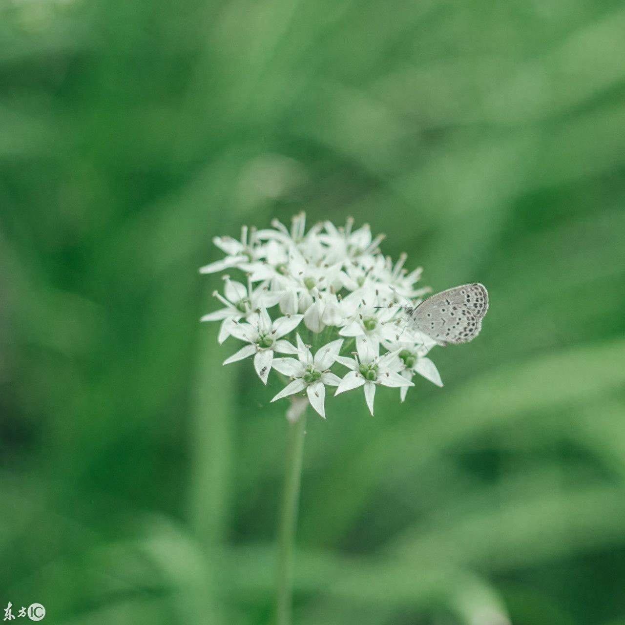 这12张适合中年人的微信头像送给你，一月换一个，绝对有内涵
