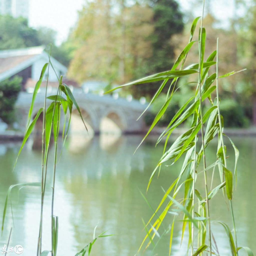 这12张适合中年人的微信头像送给你，一月换一个，绝对有内涵