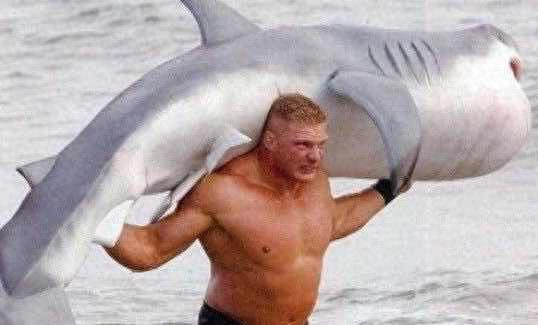 WWE选手力量排行榜 第一名绝对当之无愧！