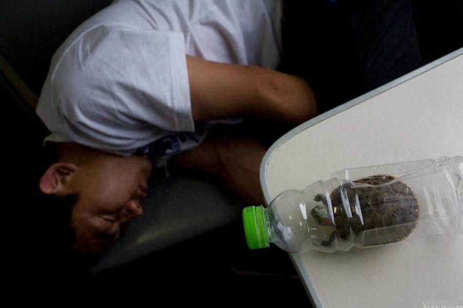 实拍：绿皮火车上的真实情景