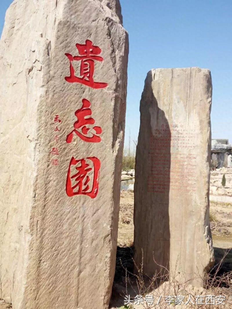 西安曲江的新植物园