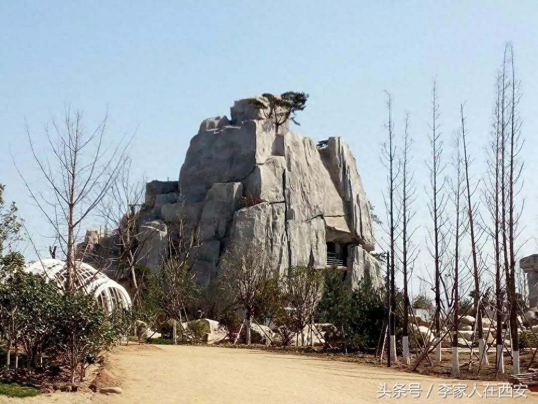 西安曲江的新植物园