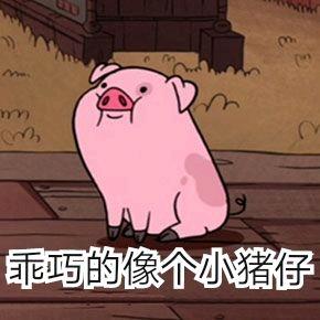 表情包：最近超火的猪表情