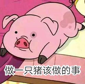 表情包：最近超火的猪表情
