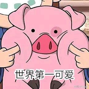 表情包：最近超火的猪表情