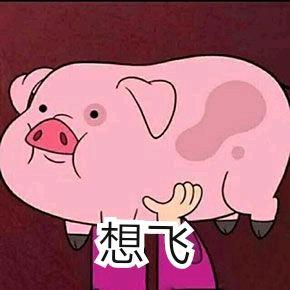 表情包：最近超火的猪表情