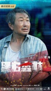 ​《黑白森林》揭秘：悬疑剧情与角色关系分析