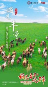 ​丰年经继拇-3-机能量发展前景广阔