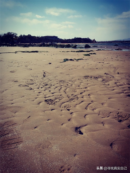 秦皇岛北戴河网红打卡地鸽子窝公园