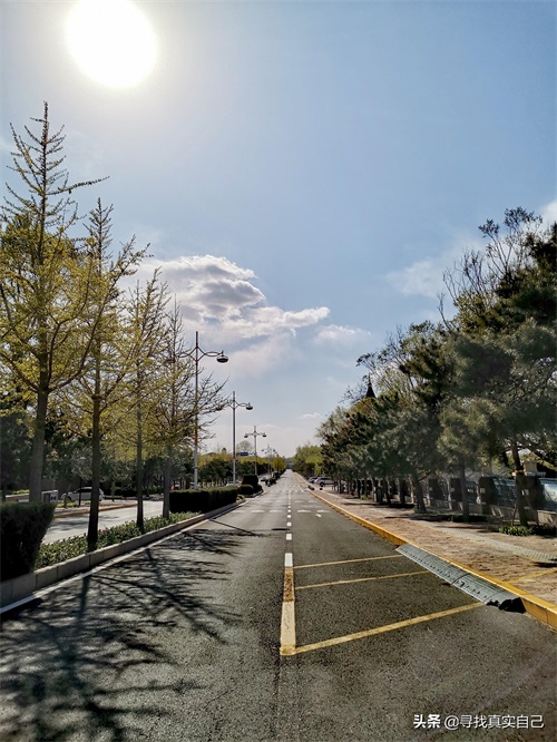 秦皇岛北戴河网红打卡地鸽子窝公园