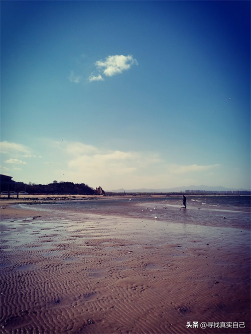 秦皇岛北戴河网红打卡地鸽子窝公园