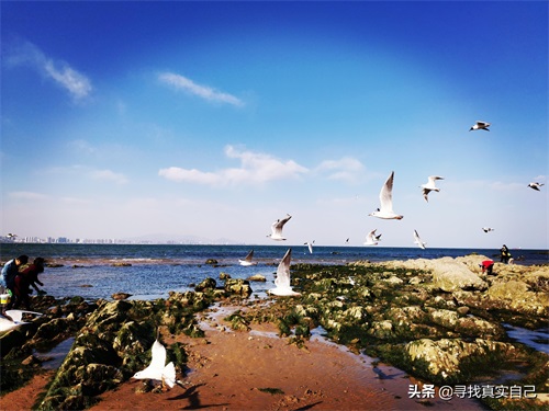 秦皇岛北戴河网红打卡地鸽子窝公园