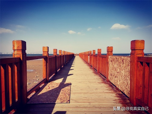 秦皇岛北戴河网红打卡地鸽子窝公园