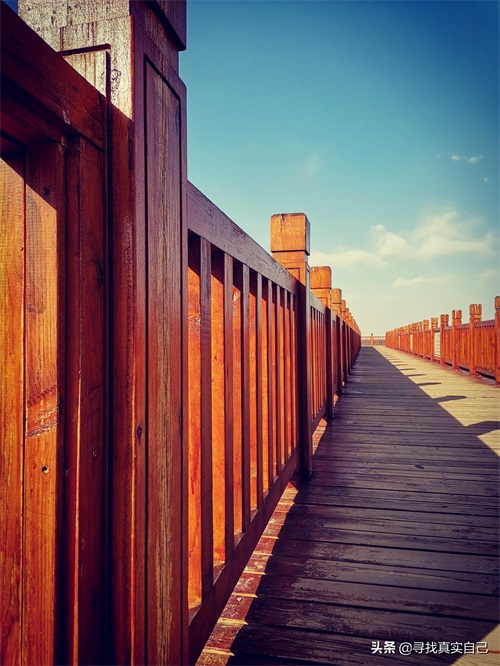 秦皇岛北戴河网红打卡地鸽子窝公园