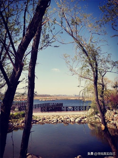 秦皇岛北戴河网红打卡地鸽子窝公园