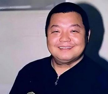 ​揭秘臧天朔的传奇人生：曾风光无限，最终却因犯罪被捕入狱