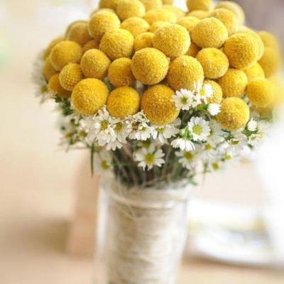 最唯美的花朵图片微信头像大全