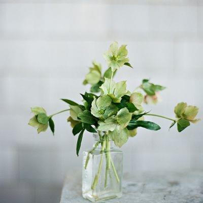 最唯美的花朵图片微信头像大全