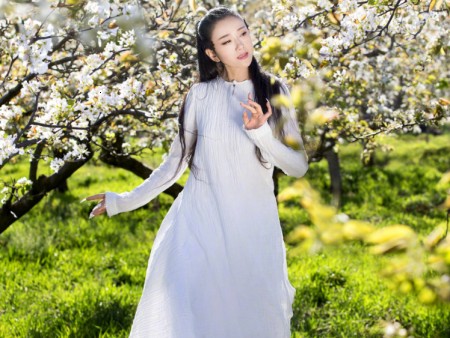 杨丽萍简历及个人资料简介(杨丽萍简历及个人资料简介)-图2 杨丽萍简历及个人资料简介(杨丽萍简历及个人资料简介)-图2