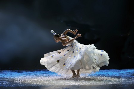 杨丽萍简历及个人资料简介(杨丽萍简历及个人资料简介)-图7 杨丽萍简历及个人资料简介(杨丽萍简历及个人资料简介)-图7